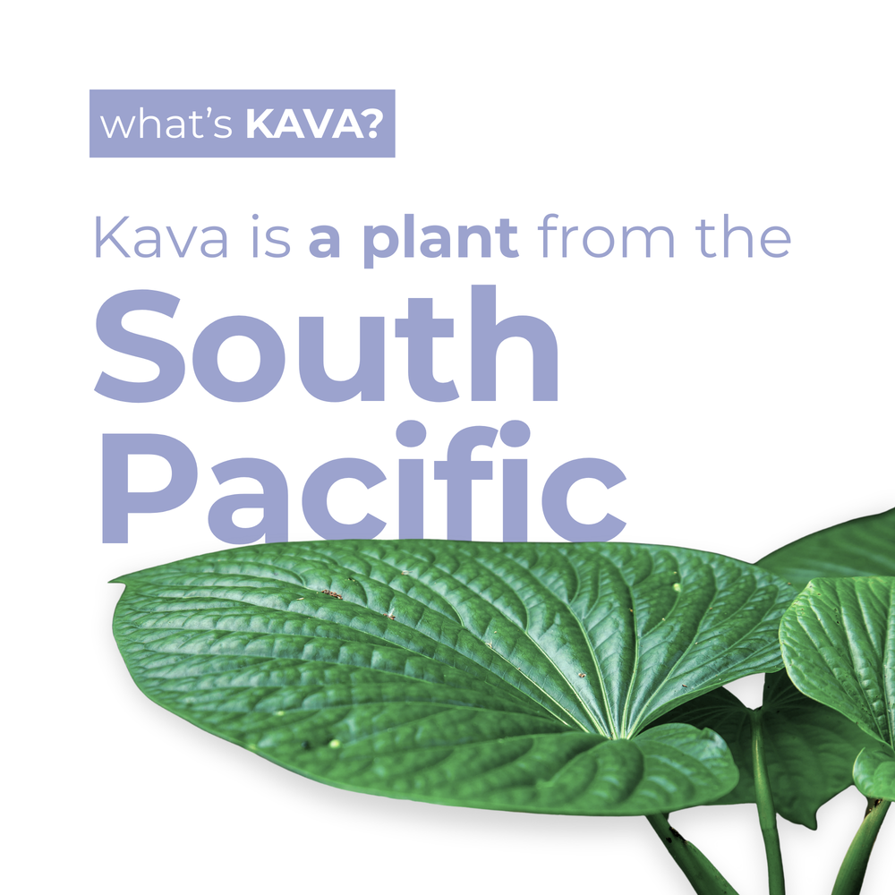Blackberry Orange Kava Drink (12-Pack)