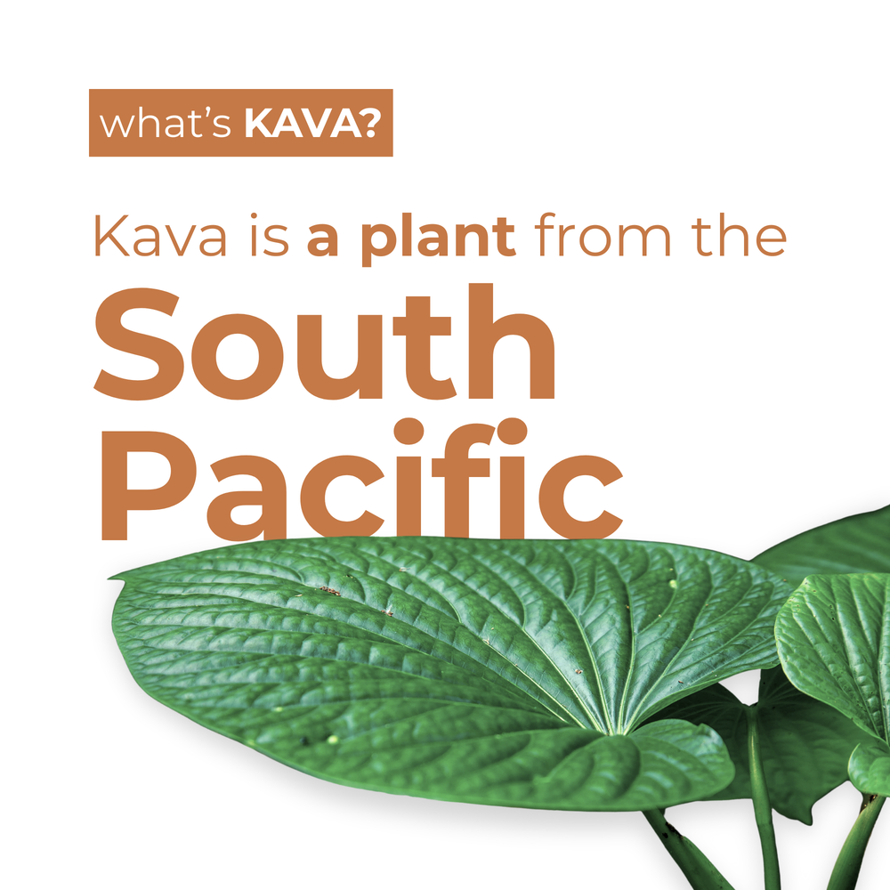 Moscow Mule Kava Mocktail (12-Pack)