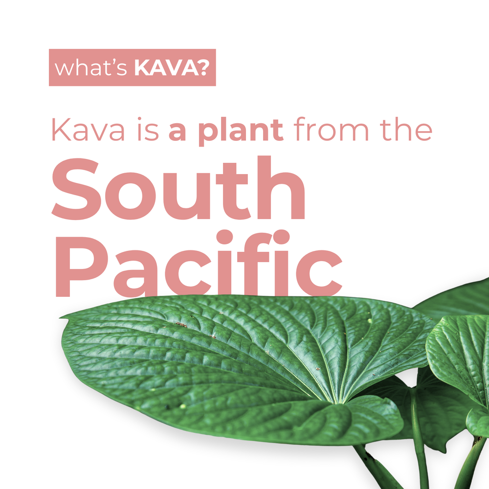 Raspberry Hibiscus Kava Drink (12-Pack)