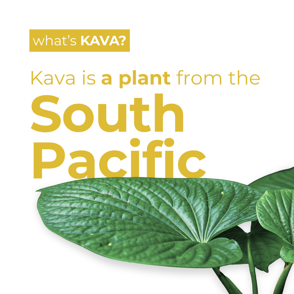 Pina Colada Kava Mocktail (12-Pack)