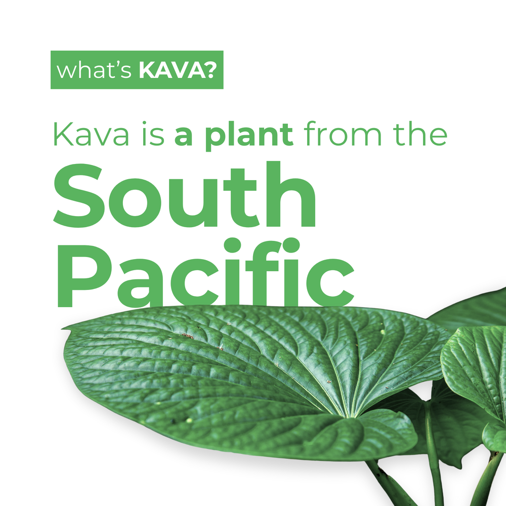 Lime Margarita Kava Mocktail (12-Pack)