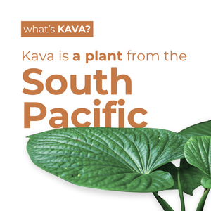 Moscow Mule | Kava Tonic - Leilo