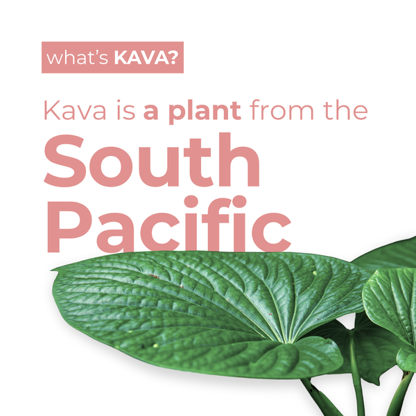 Raspberry Hibiscus | Kava Tonic - Leilo