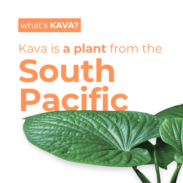 Tangerine Mango | Kava Tonic - Leilo